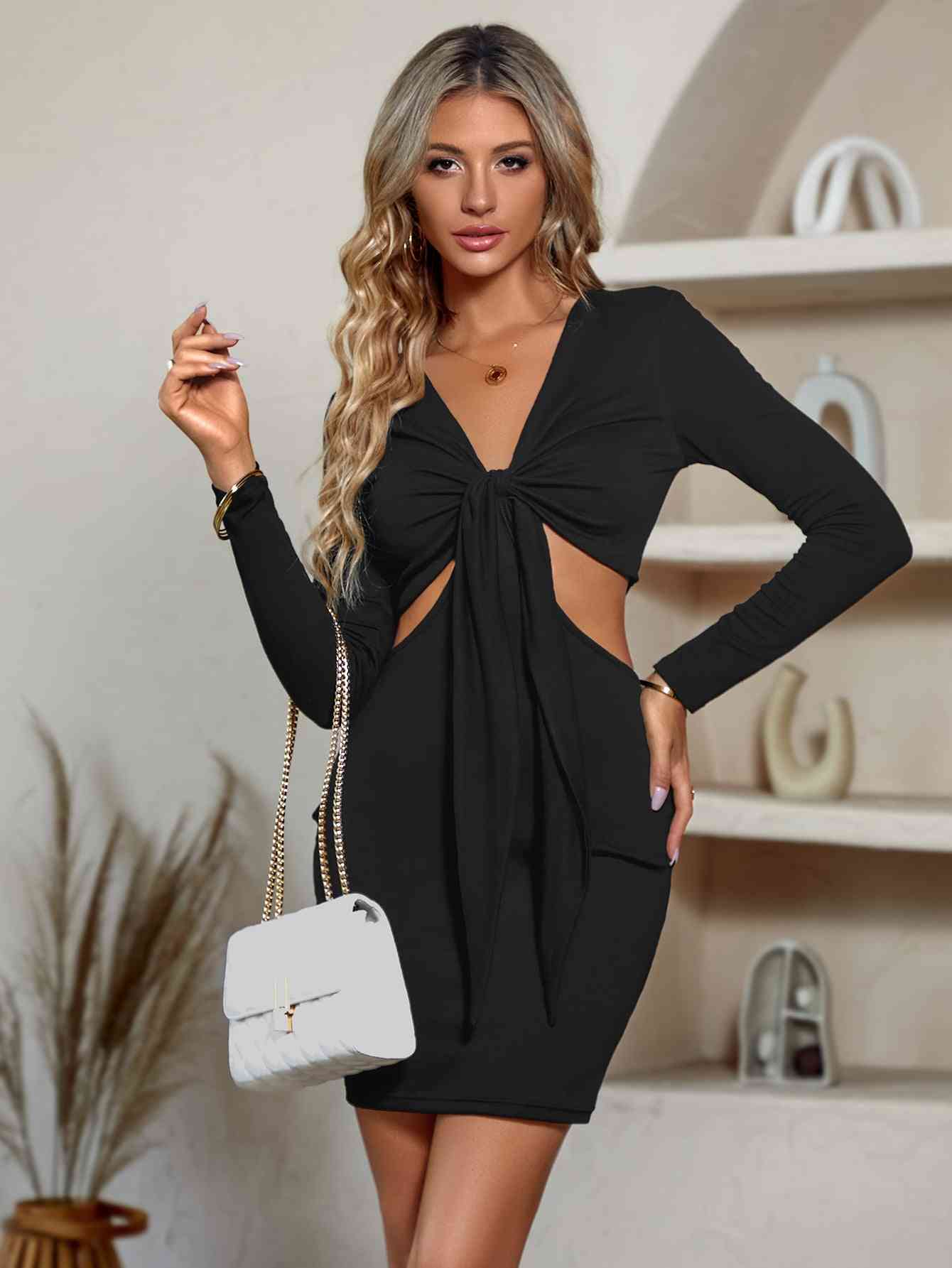 Derra Plunge Neck Mini Dress